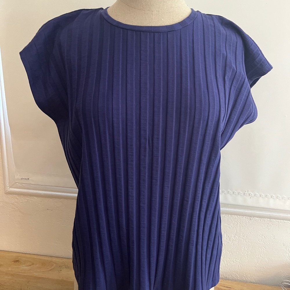 Blue beautiful  XS Eileen fisher top